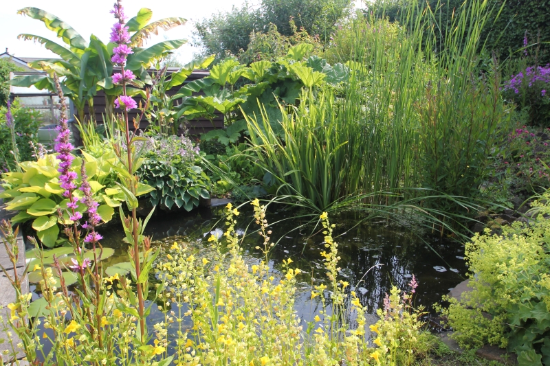 Cefn Cribwr Garden Club